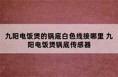 九阳电饭煲的锅底白色线接哪里 九阳电饭煲锅底传感器